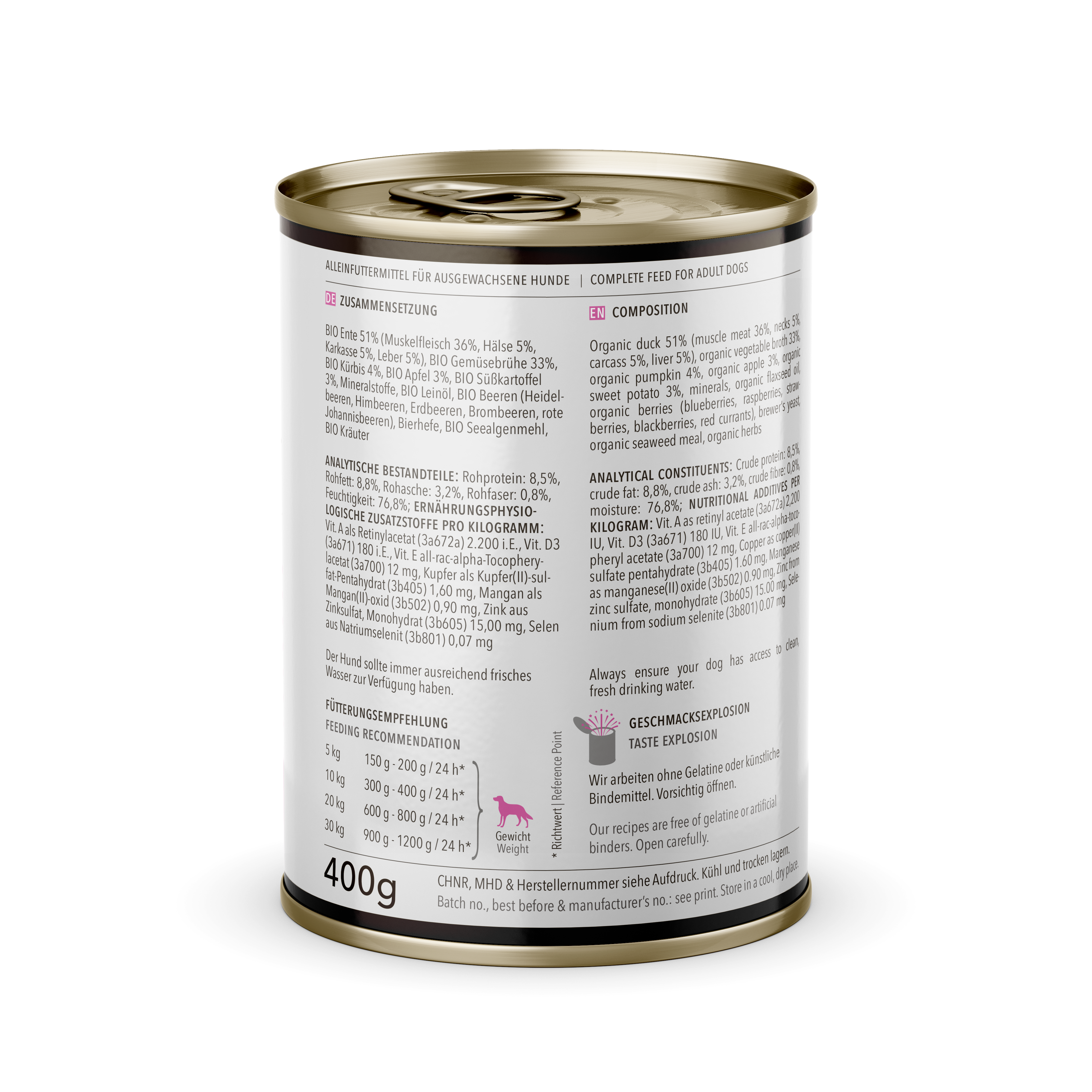 Bio Ente mit Kürbis & Beeren